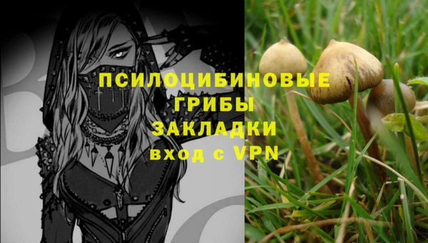 трава Бежецк